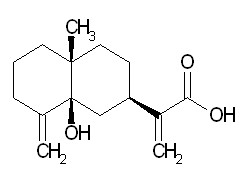 5beta-Hydroxycostic acid