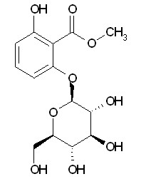 6-(beta-D-glucopyranosyloxy)-Salicylic acid methyl ester