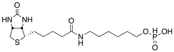 6-N-Biotinylaminohexyl Hydrogenphosphonate