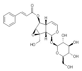 6-O-Cinnamoylcatalpol