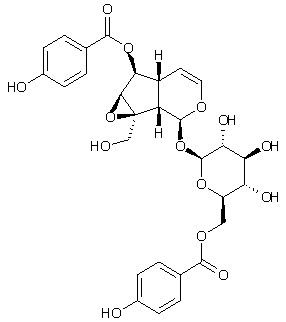 6’-O-p-Hydroxybenzoylcatalposide