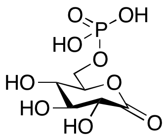 6-Phosphoglucono-δ-lactone