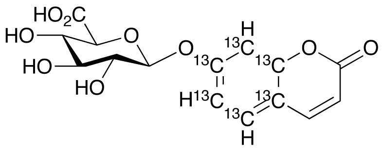 7-Hydroxy Coumarin-13C6 β-D-Glucuronide