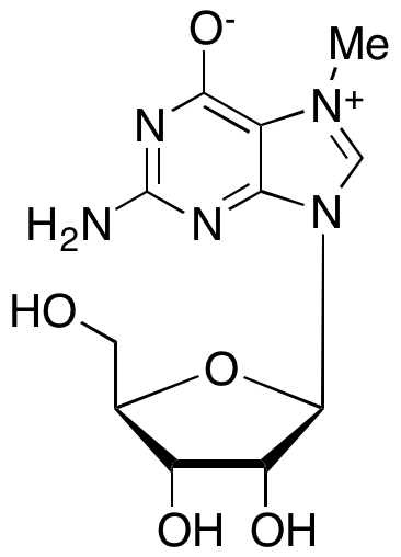 7-Methylguanosine