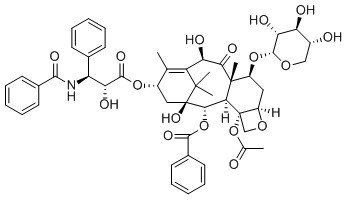 7-Xylosyltaxol