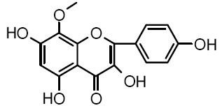 8-Methoxykaempferol