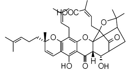 9S-10alpha-Hydroxyepigambogic acid