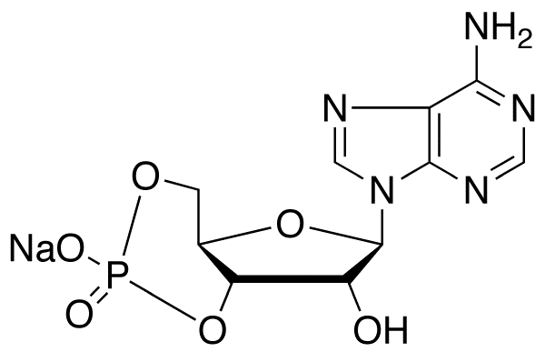 Adenosine-3’,5’-cyclic Monophosphate