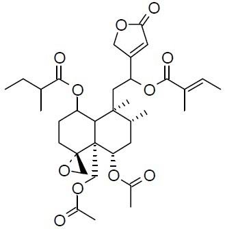 Ajugamarin G1