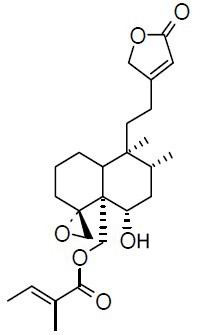 Ajugamarin L2