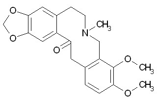 Allocryptopine