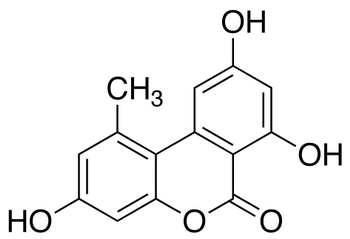 Alternariol