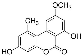 Alternariol Monomethyl Ether