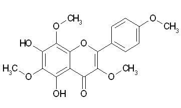 Araneosol