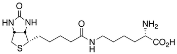 Biocytin