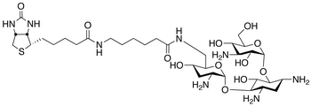 Biotinamidocaproate Tobramycin Amide