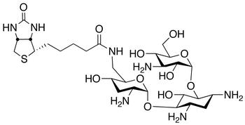 Biotinyl Tobramycin Amide