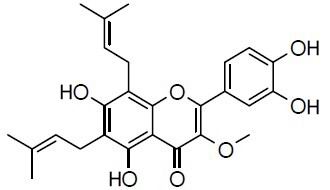 Broussoflavonol B