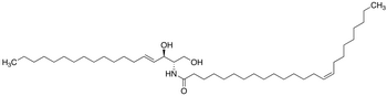 C24:1 Ceramide