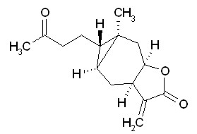 Carabrone