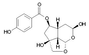 Catalpin