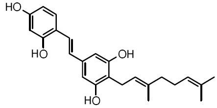 Chlorophorin