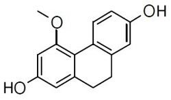 Coelonin