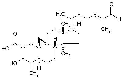 Coronalolic acid