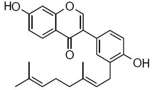 Corylifol A