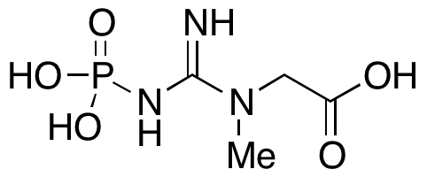 Creatine Phosphate (Phosphocreatine)