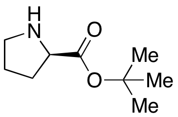 D-Proline tert-Butyl Ester