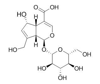 Deacetylasperulosidic acid