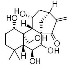 Effusanin E