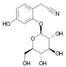 Ehretioside B