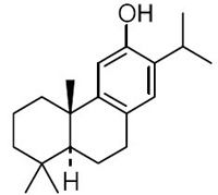 Ferruginol