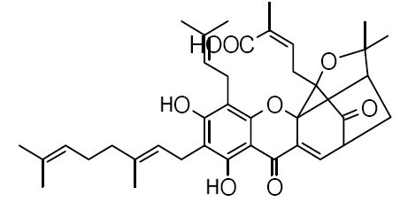 Gambogenic acid