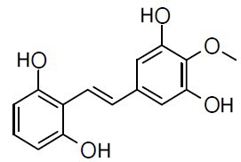 Gnetucleistol B