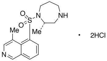 H-1152 Dihydrochloride