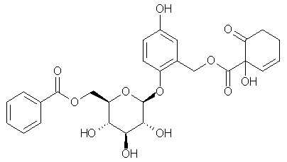 Homaloside D