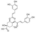 Isochlorogenic acid C(4,5)