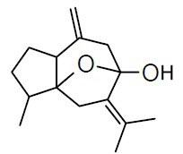 Isocurcumenol