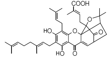 Isogambogenic acid