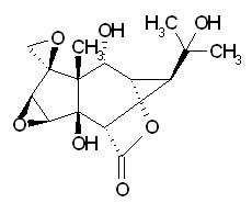 Isohyenanchin