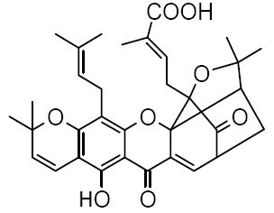 Isomorellic acid