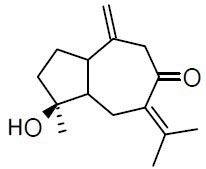 Isoprocurcumenol