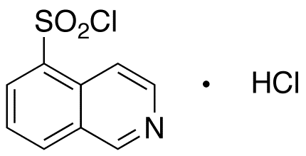 Isoquinoline-5-sulfonyl Chloride, Hydrochloride