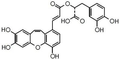 Isosalvianolic acid C