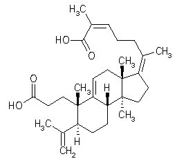 Kadsuracoccinic acid A