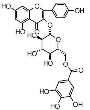 Kaempferol 3-O-(6’-galloyl)-Beta-D-glucopyranoside