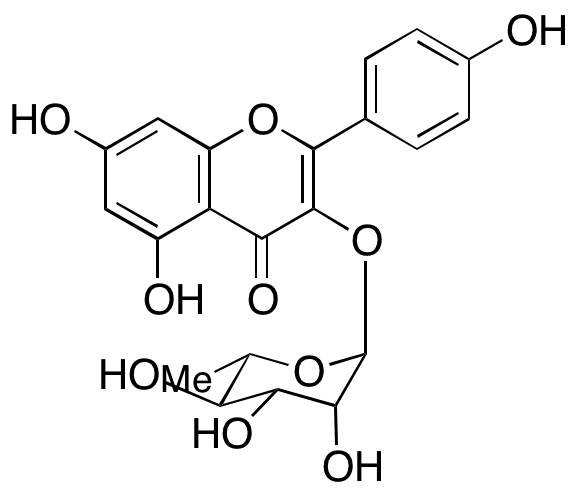 Kaempferol 3-O-α-L-Rhamnoside